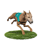 鑫河娛樂城白金賽狗