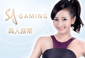 鑫河娛樂城SA真人