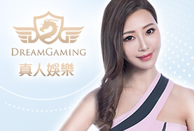 鑫河娛樂城DG真人